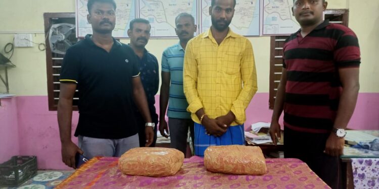 திருச்செந்தூர் உட்கோட்டம் பகுதிகளில் கஞ்சா விற்பனையில் ஈடுபட்ட இருவர் கைது – 5 ¾ கிலோ கஞ்சா பறிமுதல்.