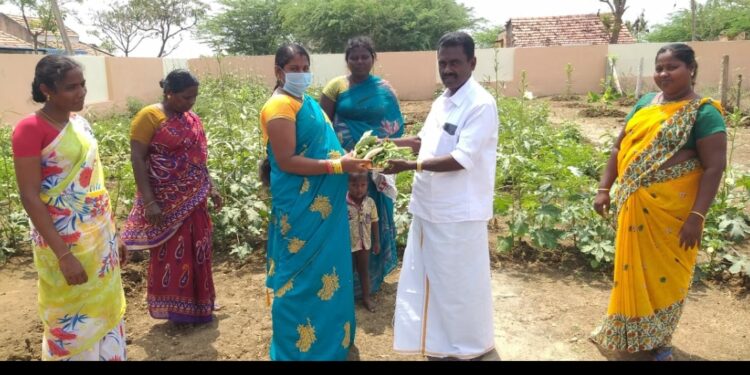 கர்ப்பிணி பெண்களுக்கு ஊட்டச்சத்து மிகுந்த காய்கனிகளை வழங்கும் திருவாடானை ஊராட்சி தலைவர் இலக்கியராமு – குவியும் பாராட்டுக்கள்..