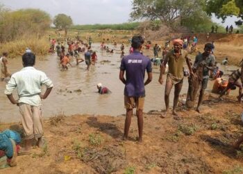 திருப்பத்தூர் அருகே கொளுஞ்சிப்பட்டி கோவில் கண்மாயில் மீன்பிடி திருவிழா நடத்தப்பட்டது.