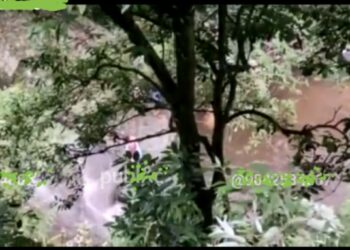 கொடைக்கானல் வெள்ளி நீர்வீழ்ச்சி அருகே அதிவேகமாக வந்த டிப்பர் லாரியால் 200 அடி பள்ளத்தில் பாய்ந்த இளைஞன்!!    தன் உயிரைப் பொருட்படுத்தாமல் காப்பாற்றிய 2 பேருக்கு குவியும் பாராட்டுக்கள்!! 