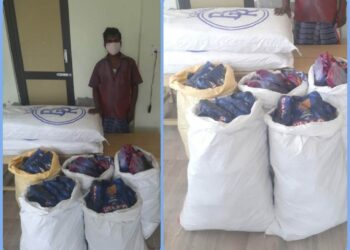 நாகலாபுரம் மளிகை கடையில் ரூ.71,000 மதிக்கத்தக்க புகையிலைப் பொருட்களை பறிமுதல்