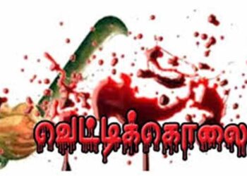 திருநெல்வேலி அருகே பார் உரிமையாளர் வெட்டிக்கொலை