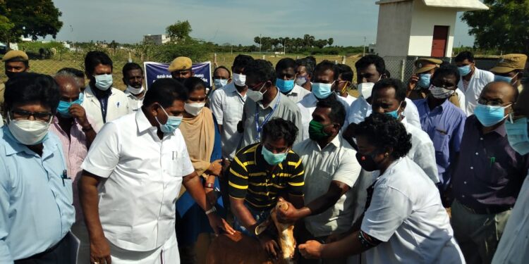 ஆறுமுகநேரியில் கால்நடை பராமரிப்பு துறையின் சார்பில் செம்மறி ஆடுகளுக்கு தடுப்பூசி முகாம் – அமைச்சர் அனிதா ஆர். ராதாகிருஷ்ணன் துவக்கி வைத்தார்