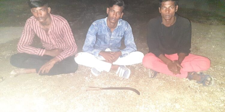 தூத்துக்குடியில் முன்விரோதம் காரணமாக அரிவாளால் தாக்கி கொலை முயற்சியில் ஈடுபட்ட 3 பேர் கைது