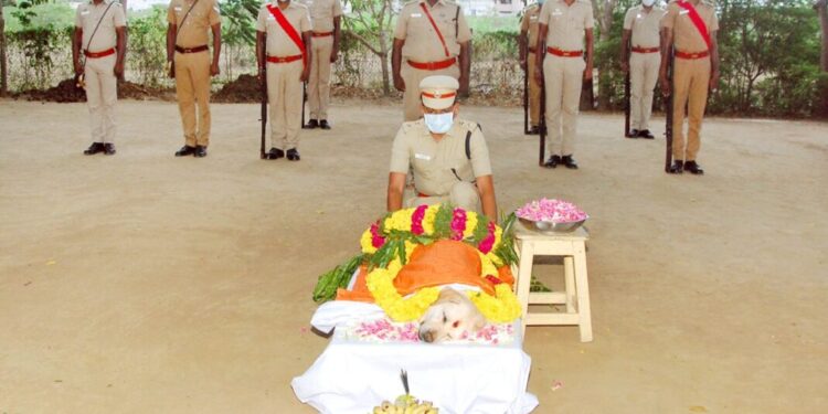 திருவாரூர் காவல்துறையில் வெடிகுண்டு கண்டுபிடிக்கும் பயிற்சி பெற்ற மோப்பநாய் இன்று இயற்கை மரணம்