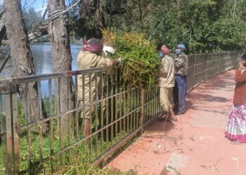கொடைக்கானல் நட்சத்திர ஏரி தூய்மைப்படுத்தும் பணி தீவிரம் நகராட்சி நிர்வாகம் அதிரடி நடவடிக்கை பொதுமக்கள் பாராட்டு