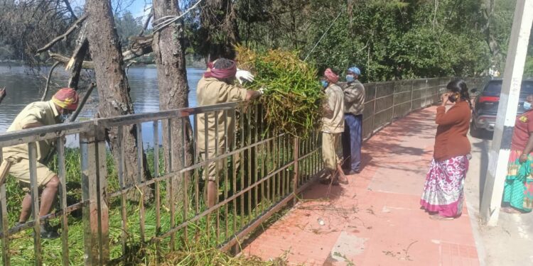 கொடைக்கானல் நட்சத்திர ஏரி தூய்மைப்படுத்தும் பணி தீவிரம் நகராட்சி நிர்வாகம் அதிரடி நடவடிக்கை பொதுமக்கள் பாராட்டு