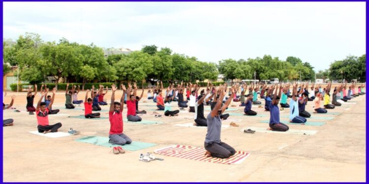 உடல் ஆரோக்கியத்தை மேம்படுத்த மாவட்ட எஸ்.பி நெ.மணிவண்ணன் தலைமையில் யோகா பயிற்சி