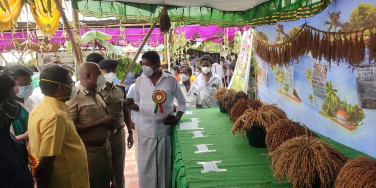 தேசிய நெல் திருவிழா நிகழ்ச்சி – திருச்சி மத்திய மண்டல ஐ.ஜி பாலகிருஷ்ணன் IPS.,  மாவட்ட எஸ்பி விஜயகுமார் IPS., கலந்துகொண்டு பாரம்பரிய நெல் வகைகளை பார்வையிட்டனர்