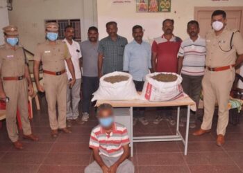 நெல்லை போலீசாரின் தொடர் அதிரடி வேட்டையில் சிக்கிய 25 கிலோ கஞ்சா பறிமுதல். ஒருவர் கைது.