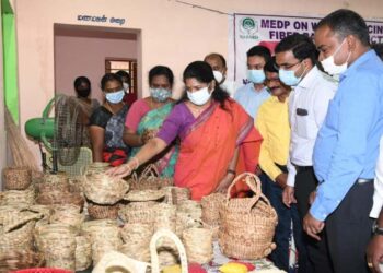 ஆகாய தாமரையில் இருந்து கைவினைப் பொருட்கள் தயாரிக்கும் பயிற்சியை முடித்தவர்களுக்கு கனிமொழி எம்பி சான்றிதழ்களை வழங்கினார்.