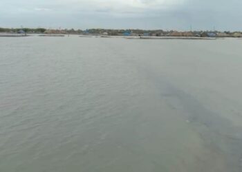 வேதாரண்யத்தில் கனமழை உப்பு உற்பத்தி பாதிப்பு