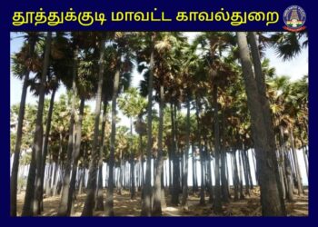 சூரங்குடி பகுதியில் 42 பனை மரங்களை வெட்டியவர் மீது போலீசார் வழக்குப்பதிவு