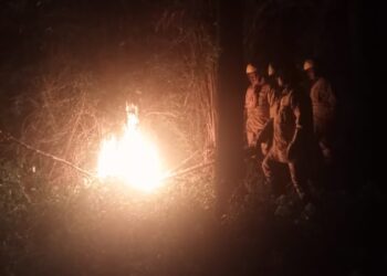 மேலூர் அருகே குடியிருப்பு பகுதியில் பொதுமக்களுக்கு இடையூறாக இருந்த விஷ வண்டுகளை கவச உடையணிந்து அழித்த தீயணைப்புத்துறையினர்