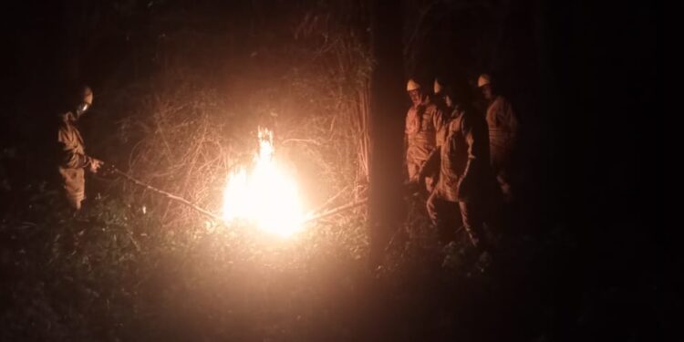 மேலூர் அருகே குடியிருப்பு பகுதியில் பொதுமக்களுக்கு இடையூறாக இருந்த விஷ வண்டுகளை கவச உடையணிந்து அழித்த தீயணைப்புத்துறையினர்