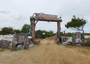 வேதாரண்யம் அடுத்த கோடியக்கரை வனவிலங்கு சரணாலயம்  கொரோனா தொற்றுக்கு பின் திறக்கப்பட்டது.