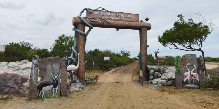 வேதாரண்யம் அடுத்த கோடியக்கரை வனவிலங்கு சரணாலயம்  கொரோனா தொற்றுக்கு பின் திறக்கப்பட்டது.