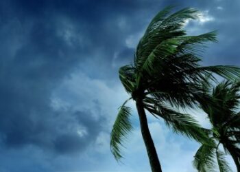 வங்கக்கடலில் உருவாகியுள்ள புயல் சின்னத்தால் தமிழகத்தில் உள்ள முக்கிய துறைமுகங்களில் புயல் எச்சரிக்கை