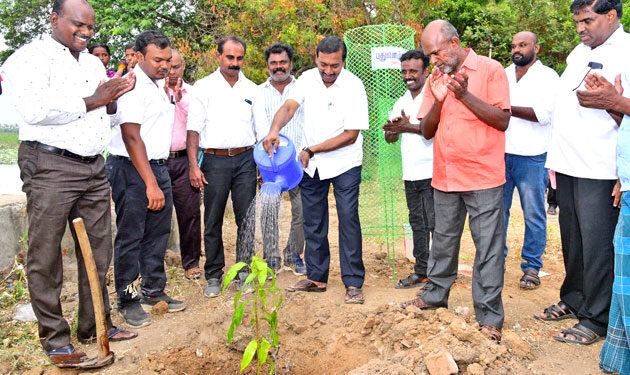 குரும்பூர் அருகிலுள்ள வடக்கு நல்லூரில் நாலுமாவடி இயேசு விடுவிக்கிறார் ஊழிய அறக்கட்டளை சார்பில் மரம் நடும் விழா