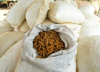 இலங்கைக்கு கடத்த முயன்ற 1 டன் விரலி மஞ்சள்  பறிமுதல் – 2பேர் கைது