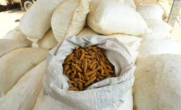 இலங்கைக்கு கடத்த முயன்ற 1 டன் விரலி மஞ்சள் பறிமுதல் – 2பேர் கைது