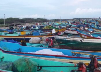 கோடியக்கரை கடற்கரை பகுதியில் கடல் சீற்றம் – மீனவர்கள் 2வது நாளாக மீன்பிடிக்க செல்லவில்லை