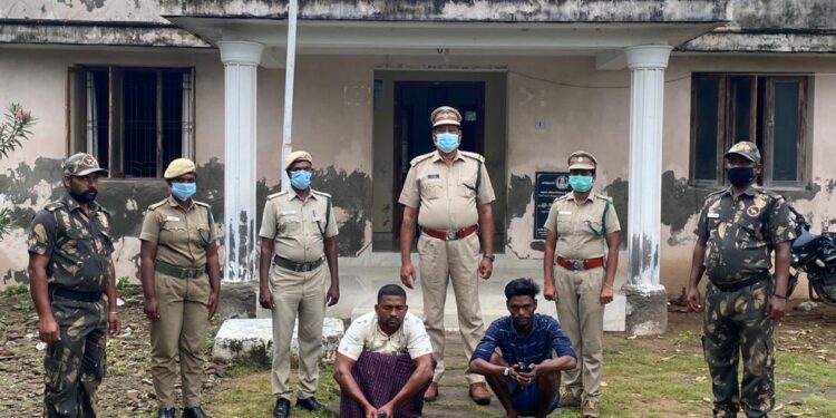 குயில் பறவைகளை பிடித்து விற்ற நபர்களை பிடித்து அபராதம் விதித்த கோடிக்கரை வனத்துறையினர்.