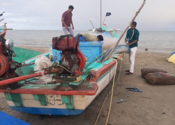 வேதாரண்யம் அருகே 10 லட்சம் ரூபாய் மதிப்பிலான கஞ்சா பறிமுதல் – ஒருவர் கைது .