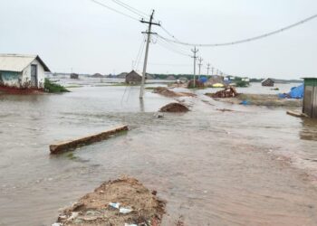 வேதாரண்யத்தில் மழை – உப்பள பகுதிகள் தண்ணீரில் மூழ்கின- உப்பள ரோடுகள் சேதம்