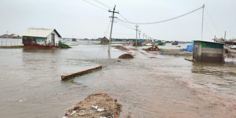 வேதாரண்யத்தில் மழை – உப்பள பகுதிகள் தண்ணீரில் மூழ்கின- உப்பள ரோடுகள் சேதம்