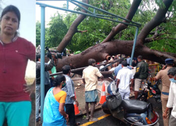 முதல்-அமைச்சர் தனிப்பிரிவு அலுவலகம் அருகே மரம் சாய்ந்து விழுந்ததில் பெண் காவலர் பலி