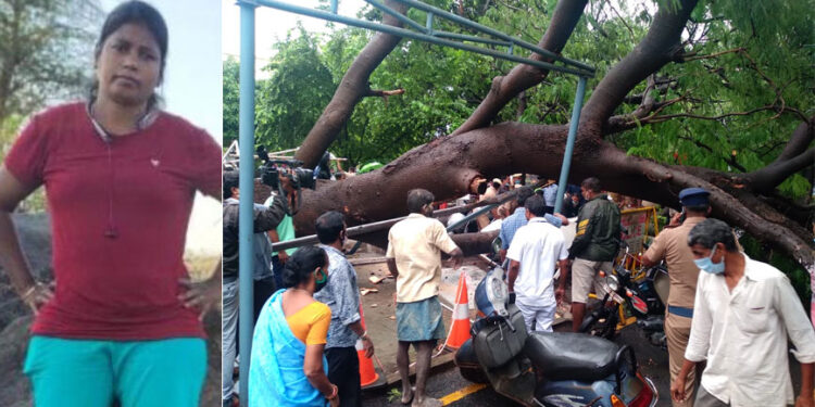 முதல்-அமைச்சர் தனிப்பிரிவு அலுவலகம் அருகே மரம் சாய்ந்து விழுந்ததில் பெண் காவலர் பலி