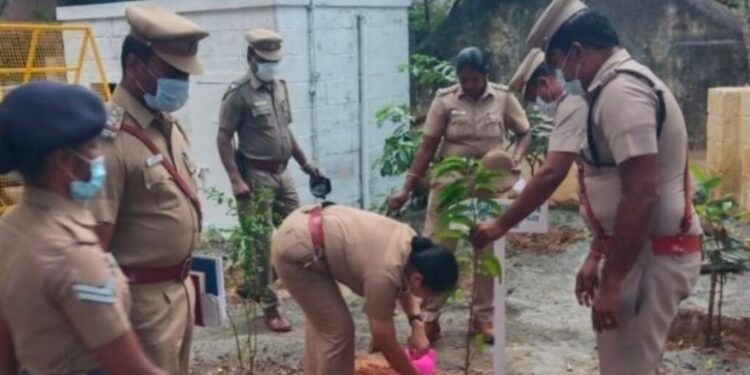 தேனி பெரியகுளம் அருகேயுள்ள தேவதானபட்டி காவல் நிலையத்தில் திண்டுக்கல் சரக டிஐஜி விஜயகுமாரி மரக்கன்றுகள் நடவு