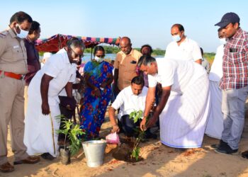 சேதுக்குவாய்த்தான் ஆற்றங்கரையோரம் ஆயிரம் மரக்கன்றுகள், இரண்டாயிரம் பனை விதைகள் நடும் விழா! நாலுமாவடி புதுவாழ்வு சங்கம் சார்பில் சகோதரர் மோகன் சி.லாசரஸ் தலைமையில் நடைபெற்றது.