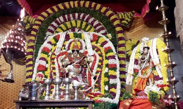 தூத்துக்குடி சிவன் கோவிலில் ஆருத்ரா தரிசனம் – பக்தர்கள் பக்தி பரவசம்