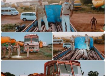 தூத்துக்குடி, புதியம்புத்தூர் அருகே லாரியில் பதுக்கி வைத்திருந்த சுமார் 10 கோடி மதிப்புடைய செம்மரக்கட்டைகள் பறிமுதல்