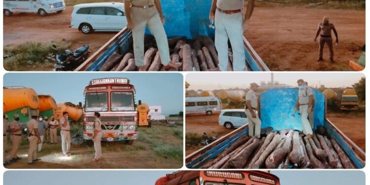 தூத்துக்குடி, புதியம்புத்தூர் அருகே லாரியில் பதுக்கி வைத்திருந்த சுமார் 10 கோடி மதிப்புடைய செம்மரக்கட்டைகள் பறிமுதல்