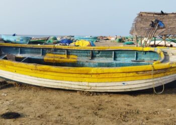 கொரோனா முழு ஊரடங்கு – நாகை மாவட்ட மீனவர்கள் கடலுக்கு செல்லவில்லை.