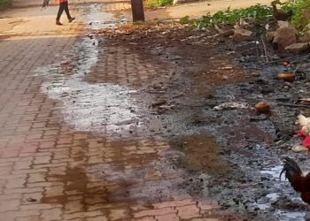 கம்பம் நகராட்சி பகுதியில் டெங்கு மற்றும் தொற்று நோய் பரவும் அபாயம்!