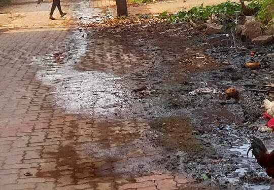 கம்பம் நகராட்சி பகுதியில் டெங்கு மற்றும் தொற்று நோய் பரவும் அபாயம்!