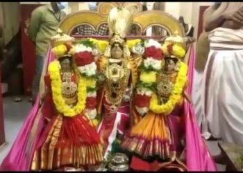 வைகுண்ட ஏகாதசியையொட்டி தோப்புத்துறை வரதராஜ பெருமாள் கோவிலில் சொர்க்கவாசல் திறப்பு