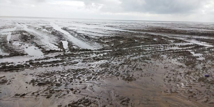 புஷ்பவனம் கடற்கரையோரத்தில் அதிக அளவில் சேறு கரை ஒதுங்கி உள்ளதை பார்வையிட்ட ஆட்சியர்.