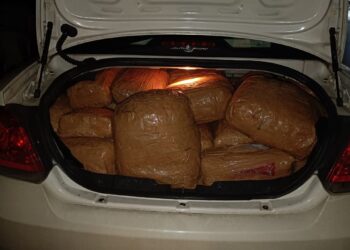 நாகை மாவட்ட தனிப்பிரிவு போலீசார் புதுப்பள்ளியில் இருந்து கடத்த முயன்ற சுமார் ரூ. 17 லட்சம் மதிப்பிலான கஞ்சா பறிமுதல் – 9 பேர் கைது