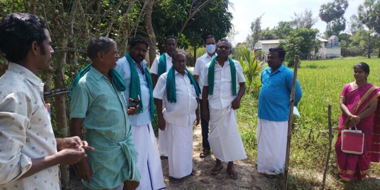 குரவப்புலத்தில் 1250 வகை பாரம்பரிய நெல் விதைகளை பயிரிட்டு ஆவணப்படுத்தும் சிவரஞ்சனி சரவணகுமார்- கின்னஸில் இடம் பெற செய்ய வேண்டும் என பிஆர் பாண்டியன் வேண்டுகோள்