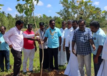 117-வது ரோட்டரி தினத்தை முன்னிட்டு,   வேதாரண்யம் ரோட்டரி கிளப் சார்பில்  பள்ளிகளில் மரம் நடும் நிகழ்வு