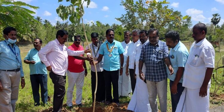 117-வது ரோட்டரி தினத்தை முன்னிட்டு, வேதாரண்யம் ரோட்டரி கிளப் சார்பில் பள்ளிகளில் மரம் நடும் நிகழ்வு