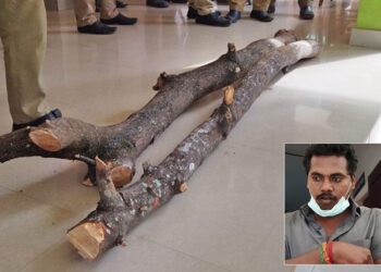 ஆரியங்காவில் சந்தன மரம் வெட்டியதற்காக   ரயில்வே  ஊழியர் அதிரடி கைது