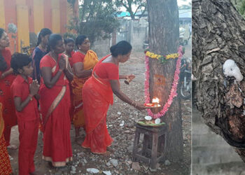 தூத்துக்குடி திருவிக நகர் சக்தி பீட வேப்பமரத்தில் பால்வடியும் அதிசயம்: பக்தர்கள் பரவசம்!