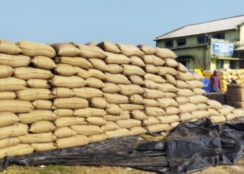 திறந்தவெளி நெல்கொள்முதல் நிலையங்களில் தேங்கியுள்ள நெல் மூட்டைகளை உடனடியாக சேமிப்பு கிடங்கிற்கு கொண்டு செல்ல வேண்டும் – நாகை விவசாயிகள் கோரிக்கை .