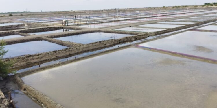 மழை காரணமாக நாகை மாவட்டத்தில் 5வது நாளாக மீனவர்கள் கடலுக்கு மீன்பிடிக்க செல்லவில்லை.உப்பு உற்பத்தி தொழிலும் முடங்கியுள்ளது